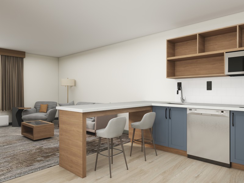 Slate Scheme Renderings (1 Bedroom King)