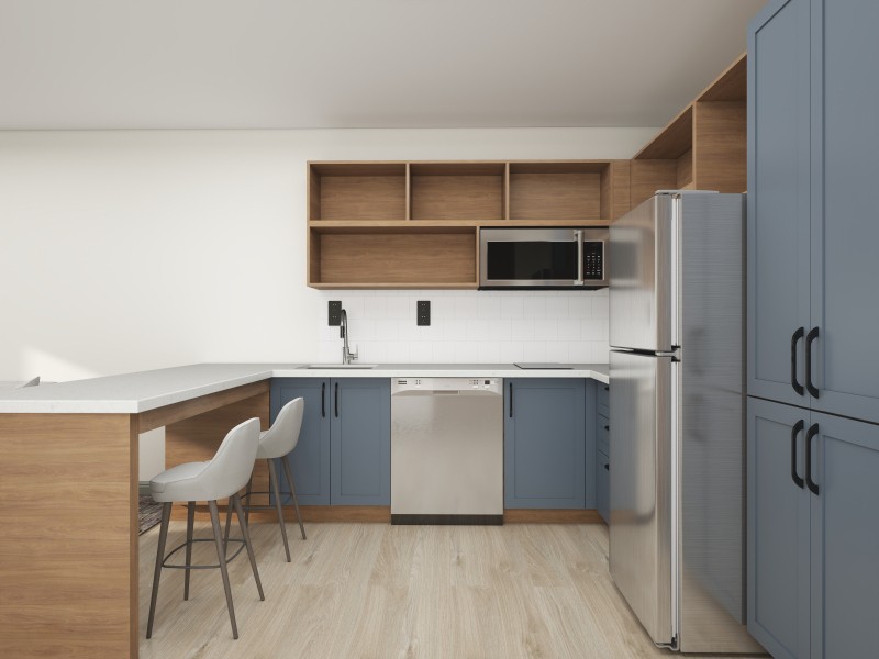 Slate Scheme Renderings (1 Bedroom King)