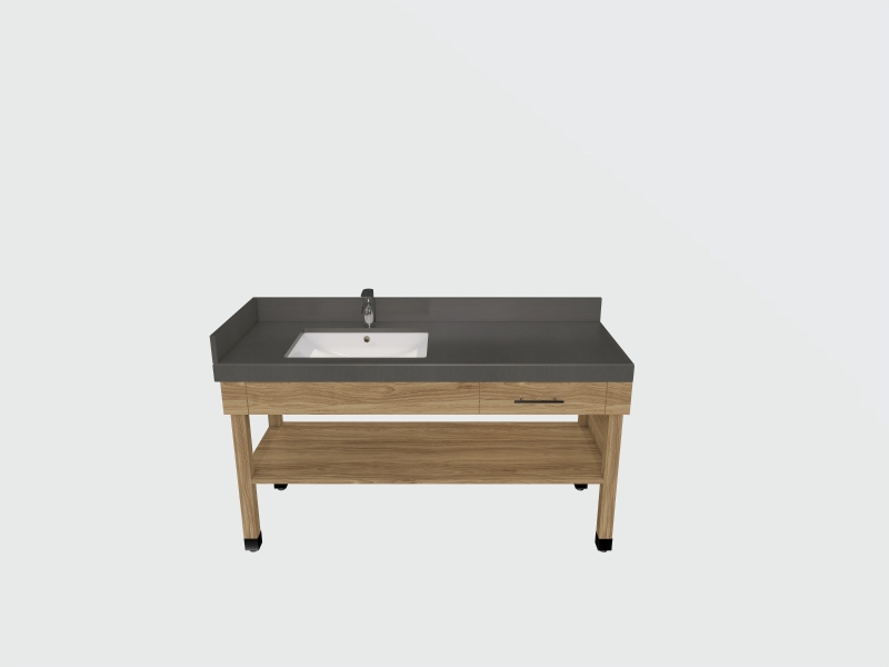 Rust Scheme Renderings ( 1 Bedroom King)