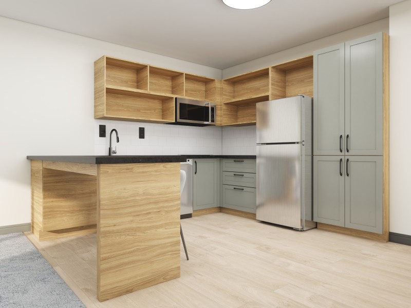 Rust Scheme Renderings ( 1 Bedroom King)