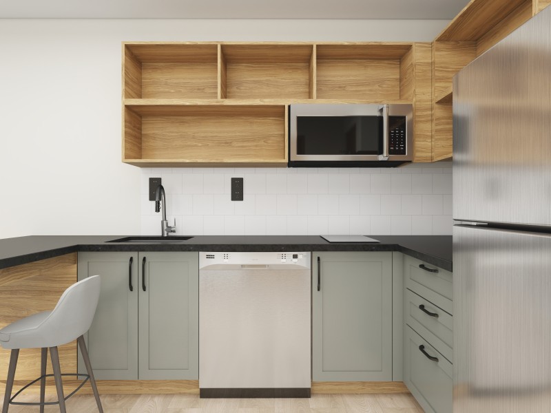 Rust Scheme Renderings ( 1 Bedroom King)