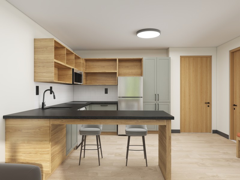 Rust Scheme Renderings ( 1 Bedroom King)