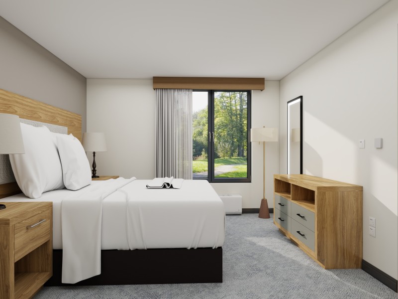Rust Scheme Renderings ( 1 Bedroom King)
